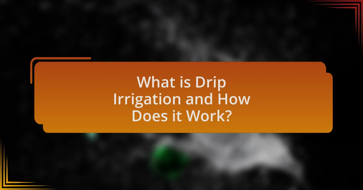 What is Drip Irrigation and How Does it Work?