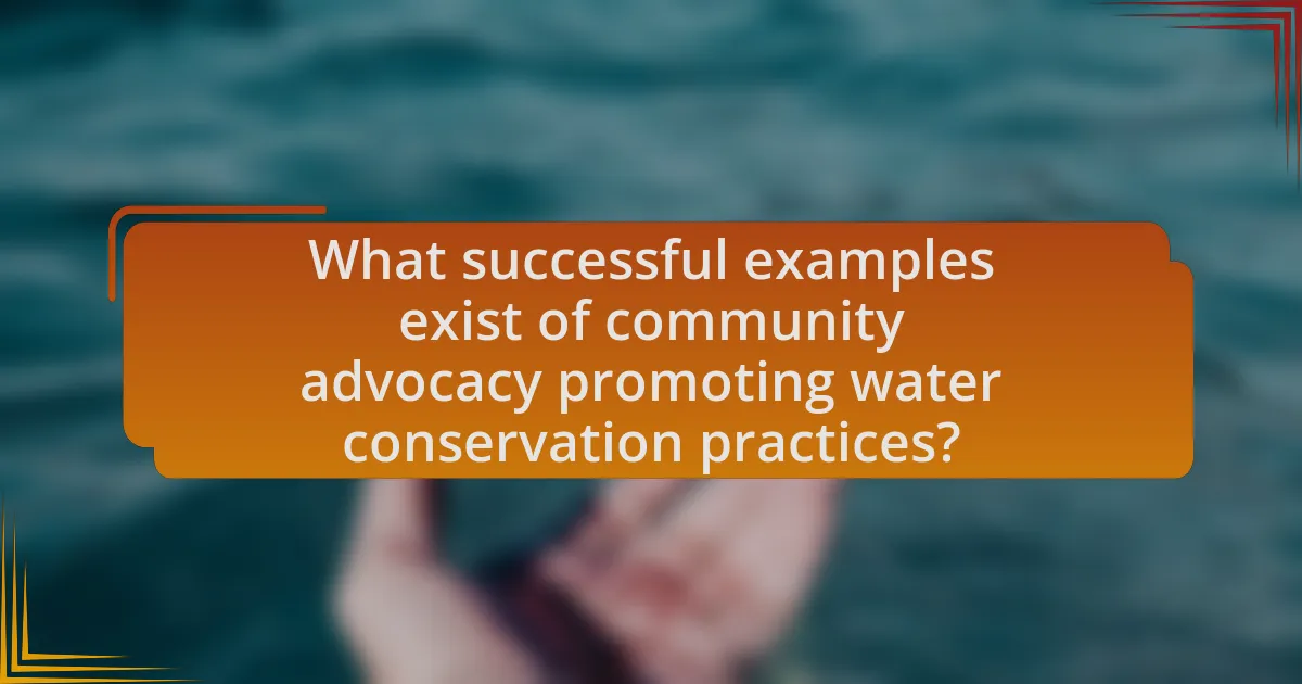 What successful examples exist of community advocacy promoting water conservation practices?